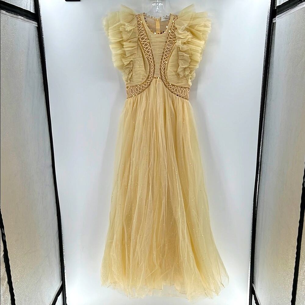 Zimmermann Dancer Glitter Tulle Dress - Cream - 1 or US 6 - New with tags - Picture 2 of 15